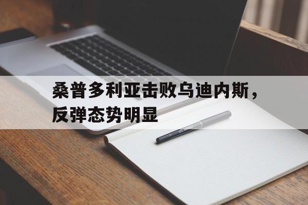 桑普多利亚击败乌迪内斯，反弹态势明显的简单介绍